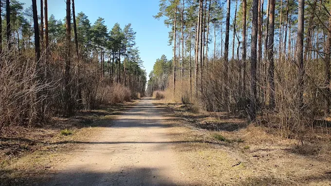 Puszcza Biała